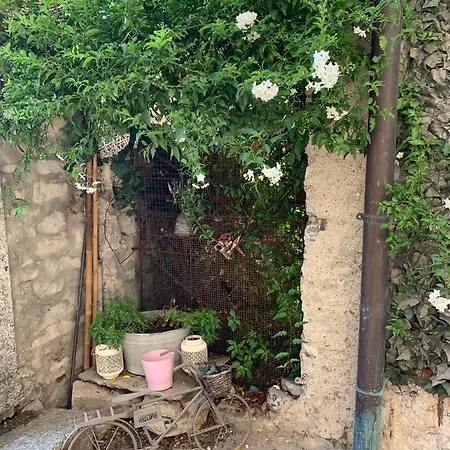 Casa Dono Il *
